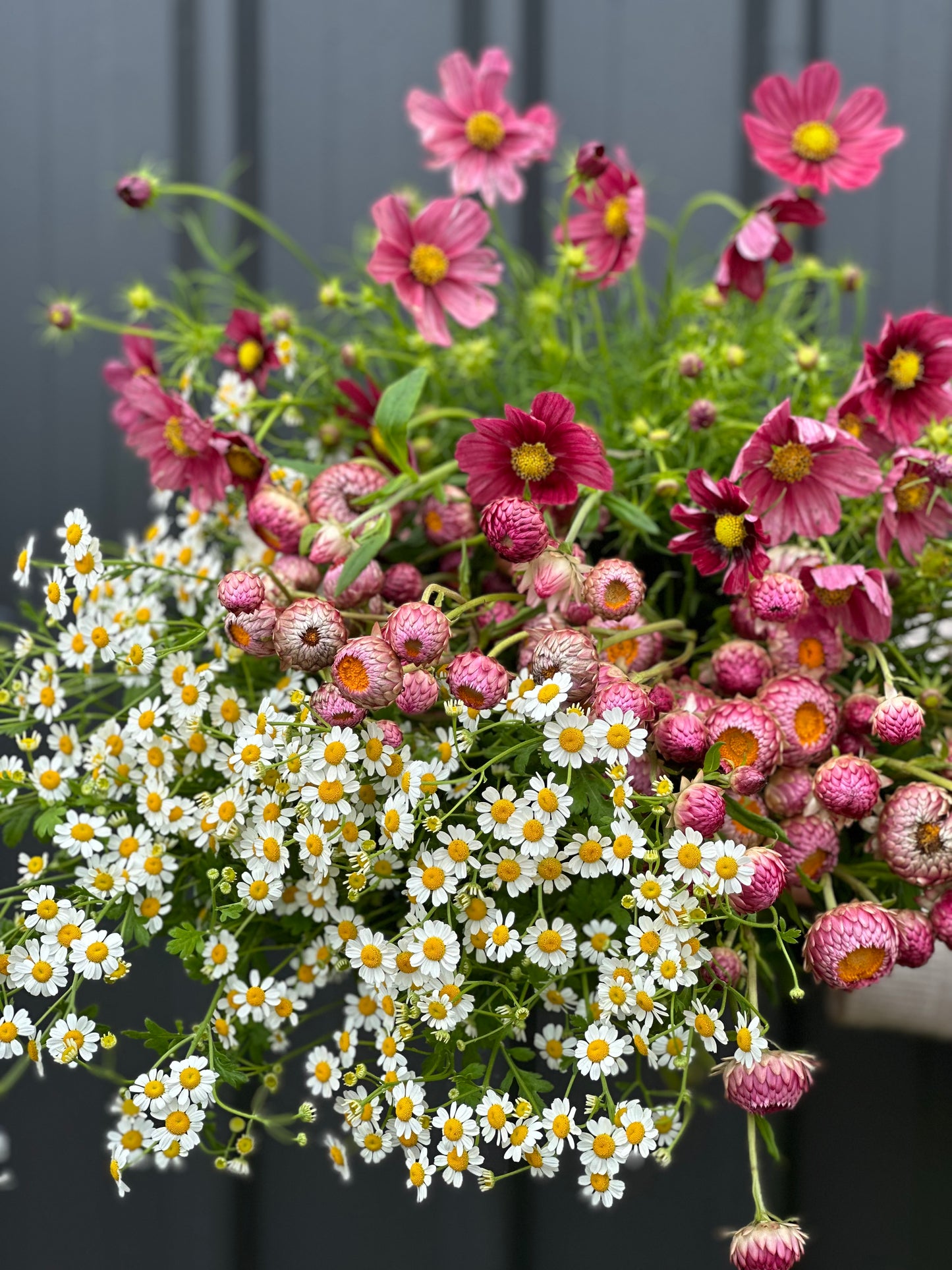 Seasonal Bunch of flowers (Summer)